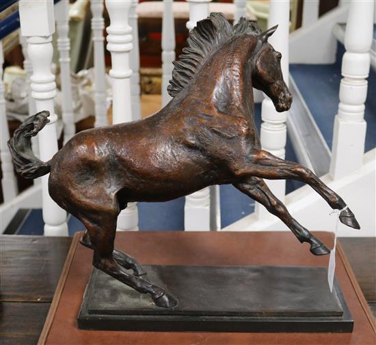 A bronze stallion, 20th century width 37cm height 40cm